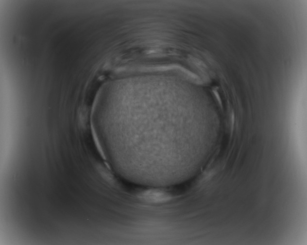 X0000085230280200703301732