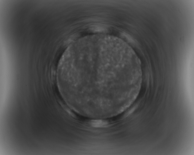 X0000085230281200703301732