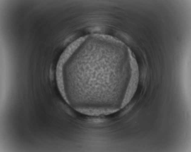 X0000085230282200703301732