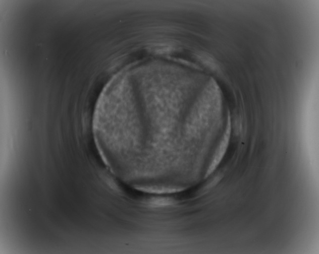 X0000085230283200703301732