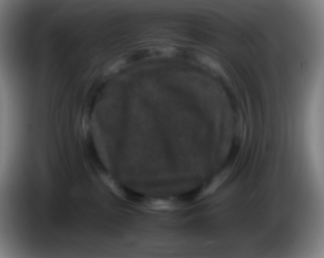 X0000085230285200703301732
