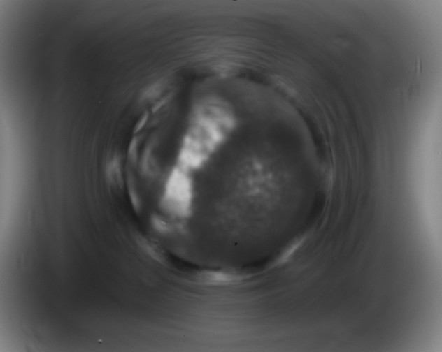 X0000085230286200703301732