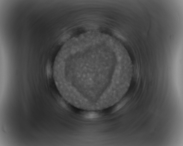 X0000085230287200703301732