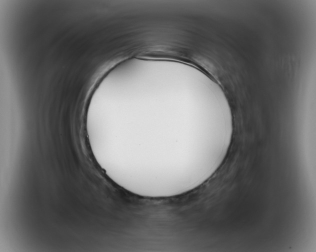 X0000085230289200703301731