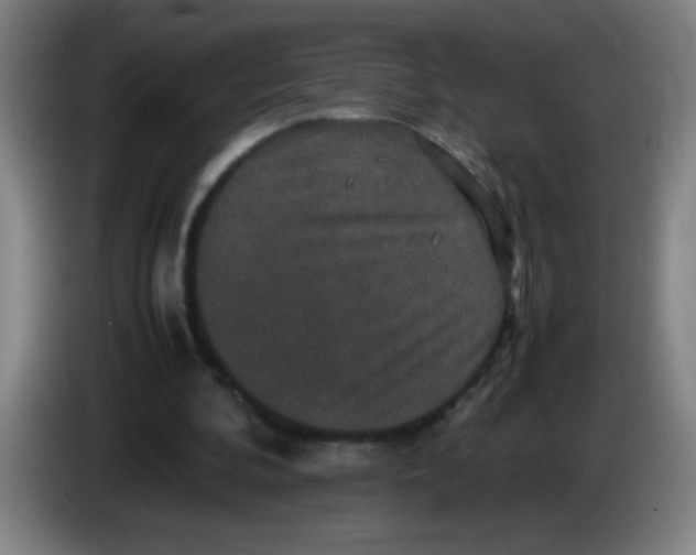 X0000085230292200703301731