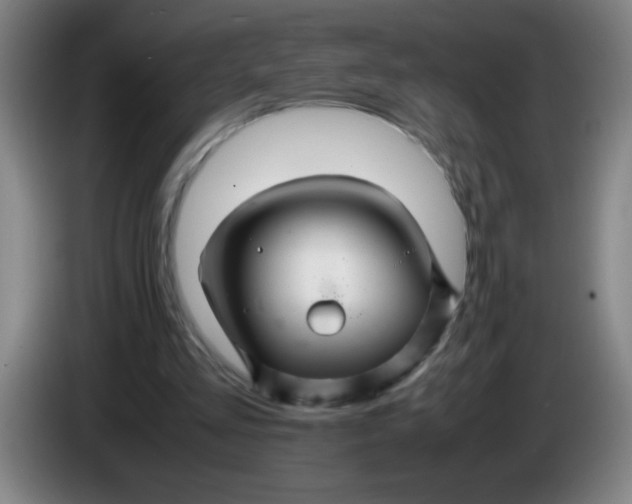 X0000085230293200703301731