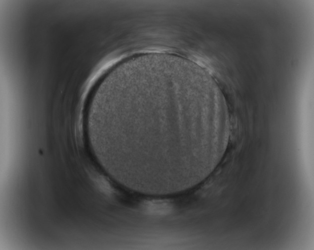 X0000085230296200703301731