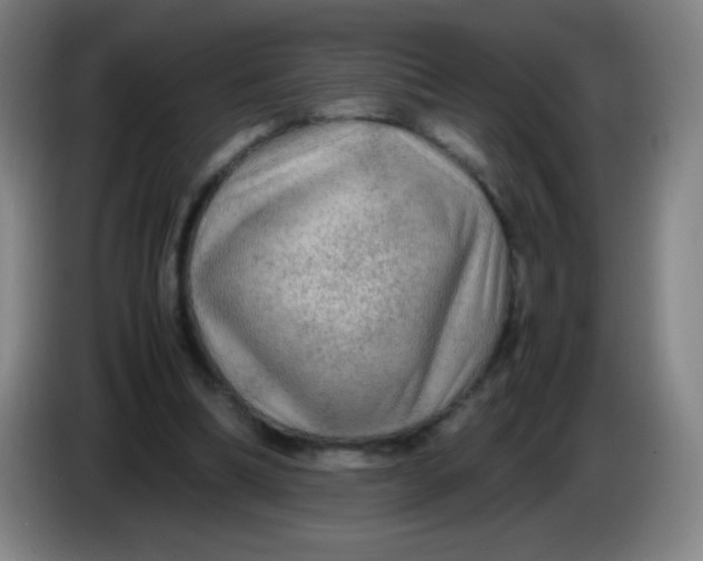 X0000085230298200703301731