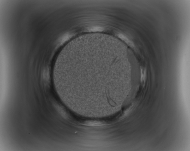 X0000085230300200703301731
