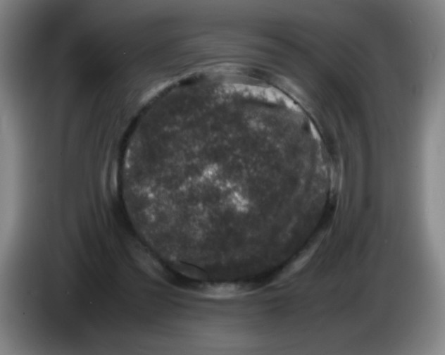 X0000085230301200703301731