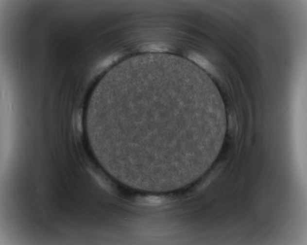 X0000085230302200703301731