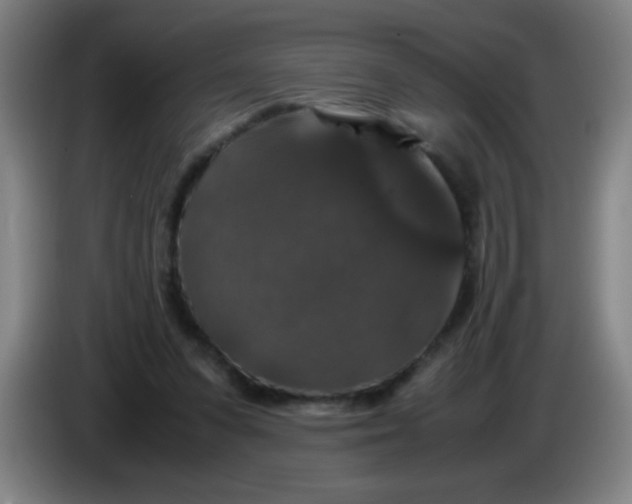 X0000085230303200703301731