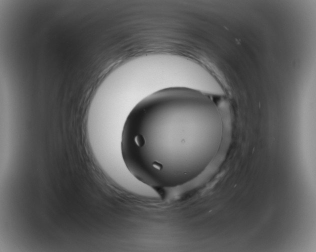 X0000085230305200703301731