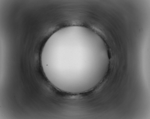 X0000085230306200703301731