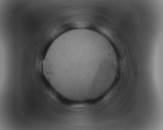 X0000085230307200703301731