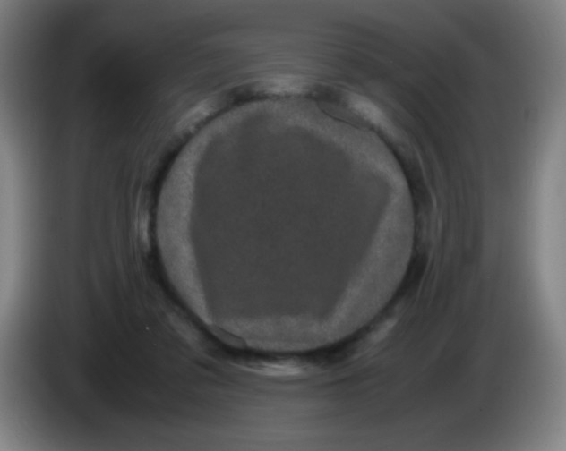 X0000085230309200703301731