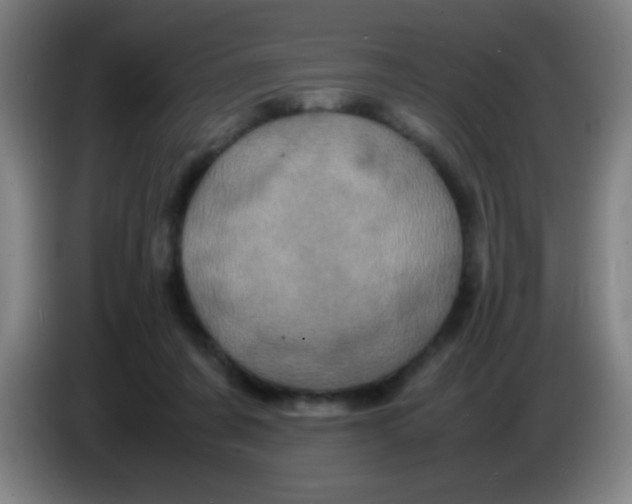 X0000085230311200703301731