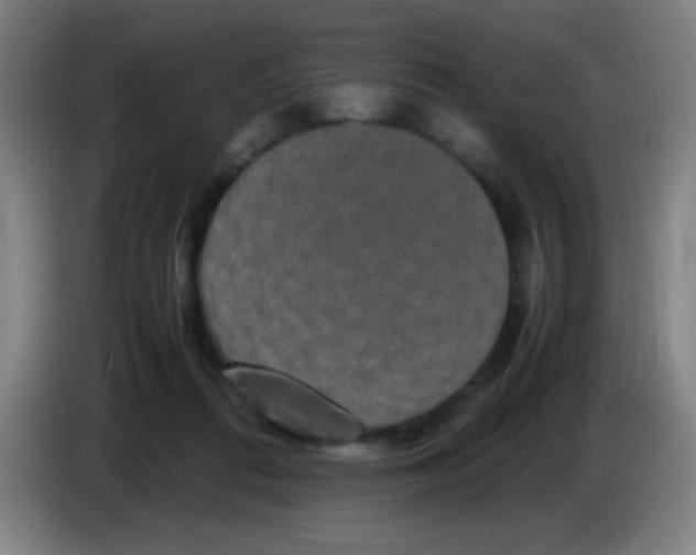 X0000085230312200703301731