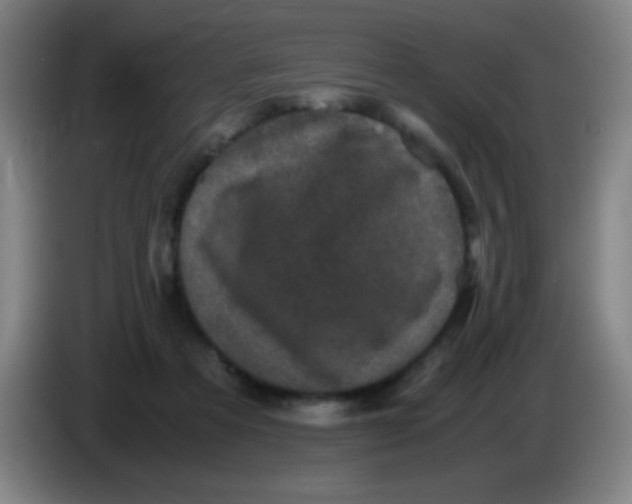 X0000085230313200703301731