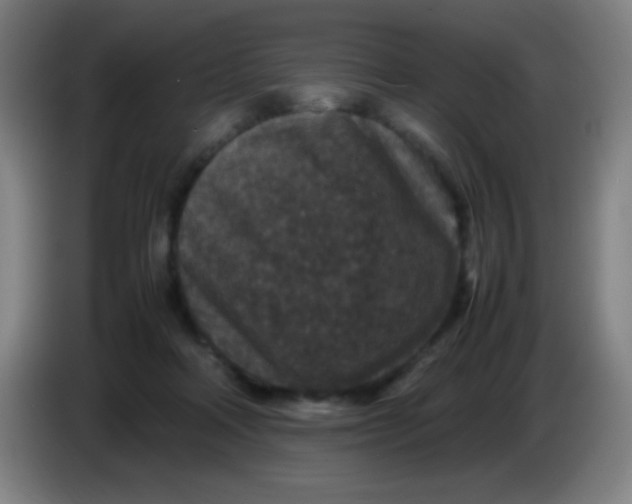 X0000085230314200703301731