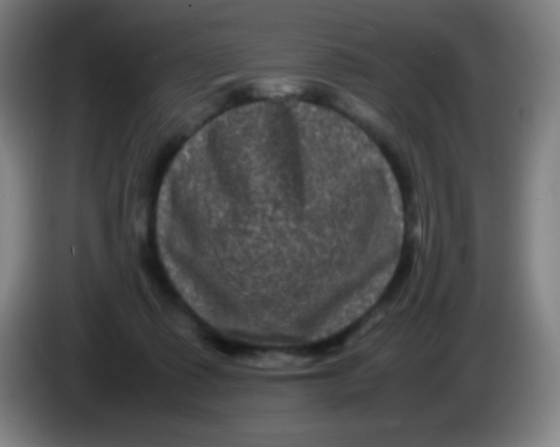 X0000085230315200703301731