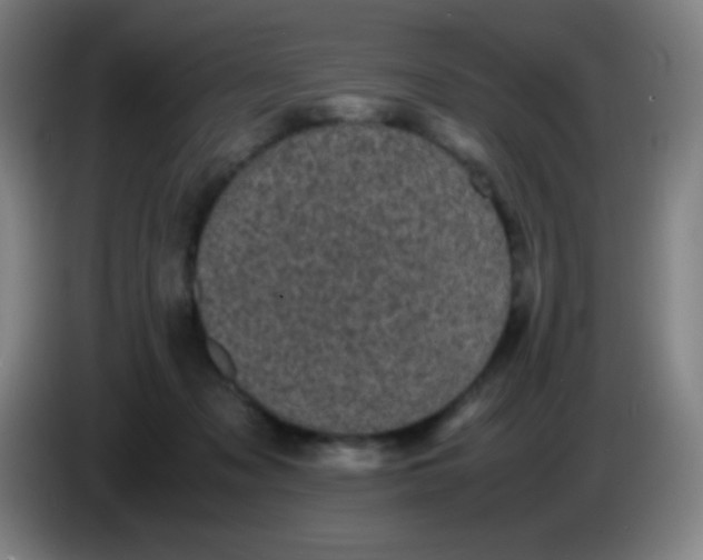 X0000085230317200703301731