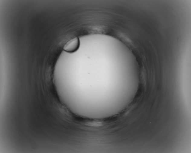 X0000085230318200703301731