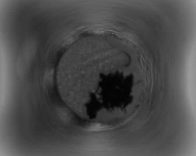 X0000085230319200703301731