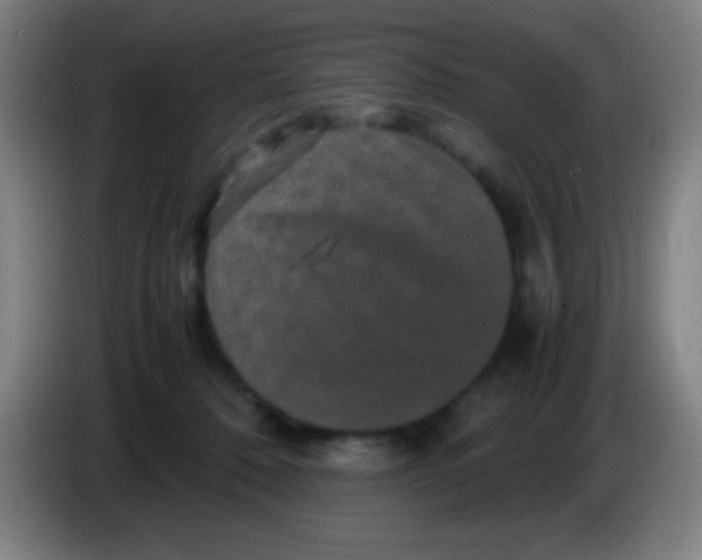 X0000085230320200703301731