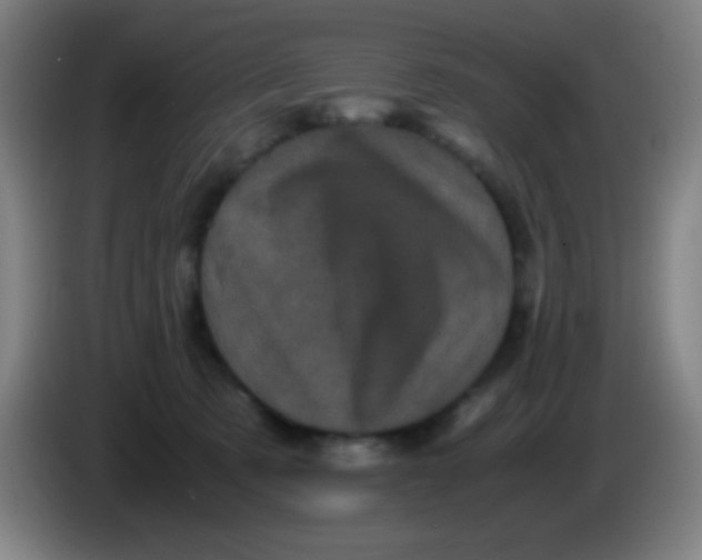 X0000085230321200703301731