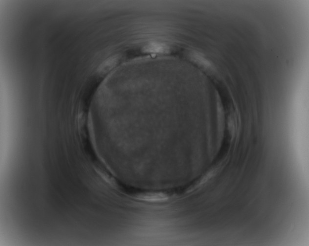 X0000085230322200703301731