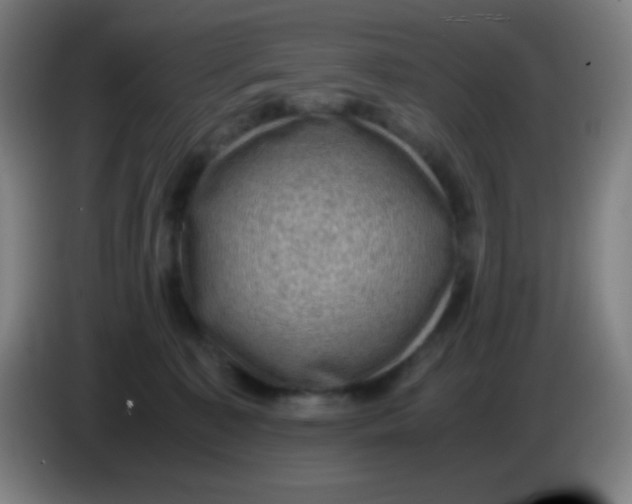 X0000085230323200703301731