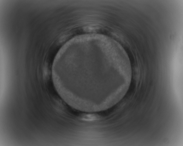 X0000085230324200703301731