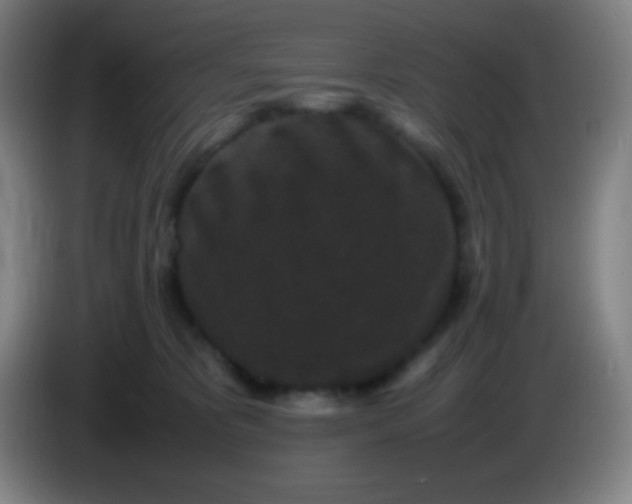 X0000085230325200703301731