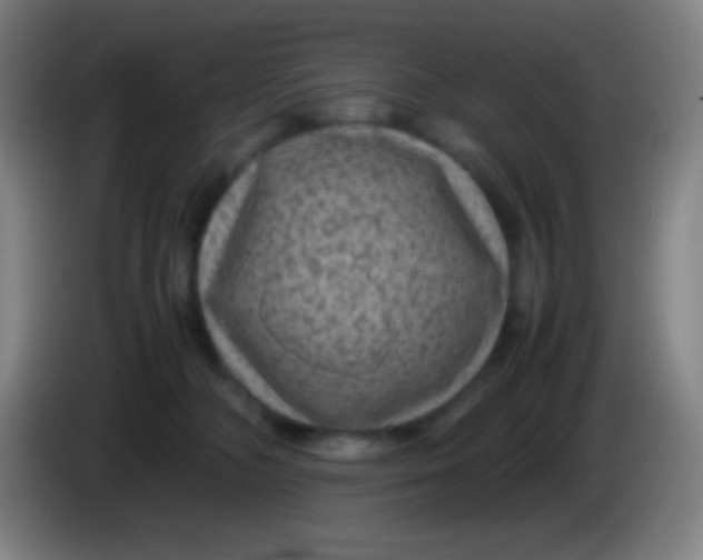 X0000085230326200703301731