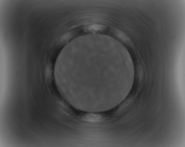X0000085230328200703301731