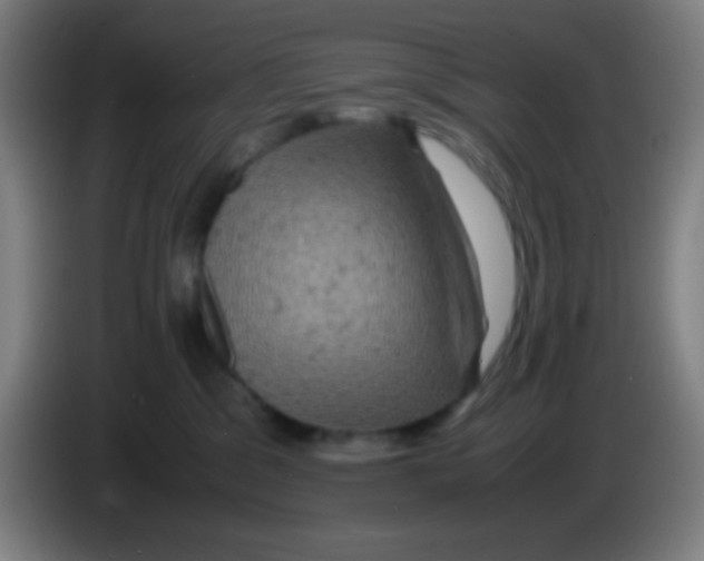 X0000085230329200703301731