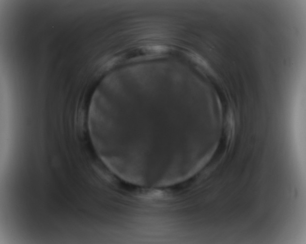 X0000085230330200703301731