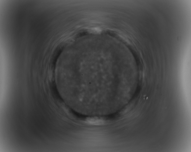 X0000085230331200703301731