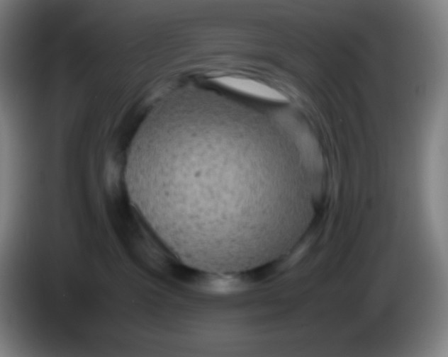 X0000085230333200703301731