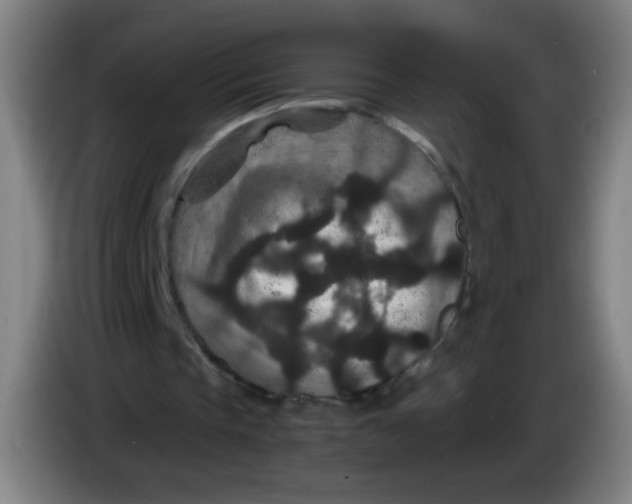 X0000085230337200703301730