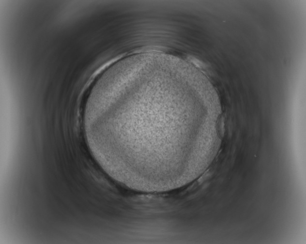 X0000085230338200703301730