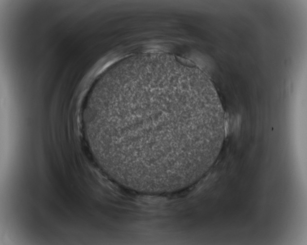 X0000085230339200703301730