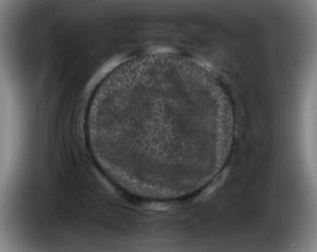 X0000085230341200703301730