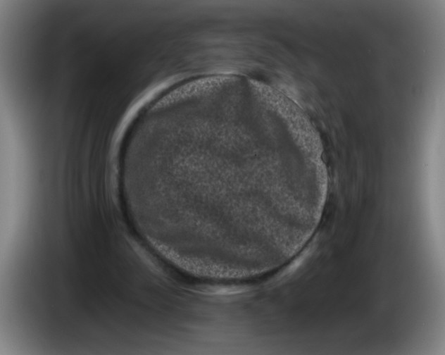 X0000085230342200703301730