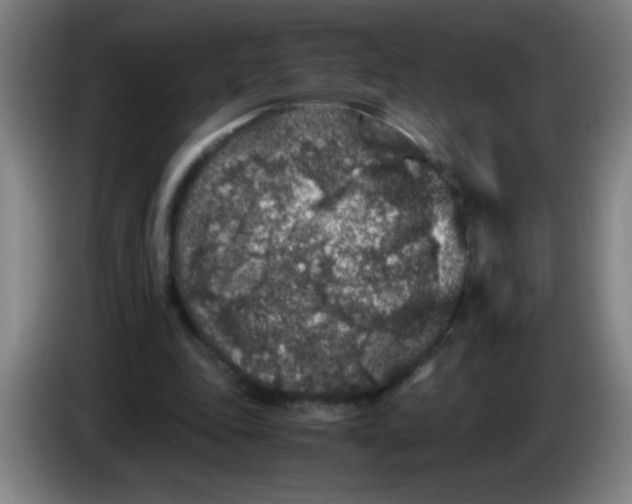 X0000085230343200703301730