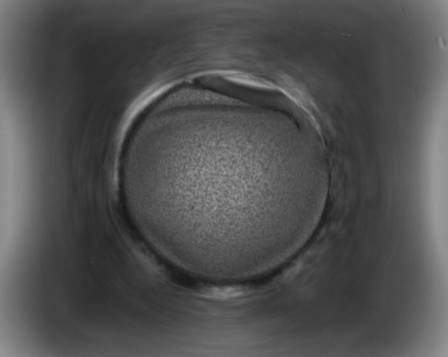 X0000085230344200703301730