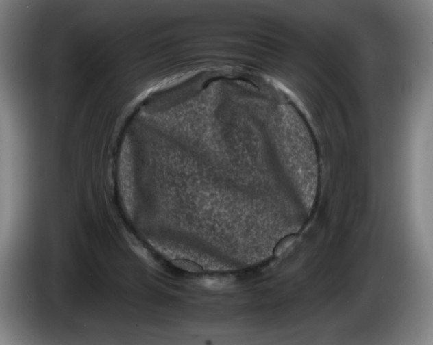 X0000085230345200703301730