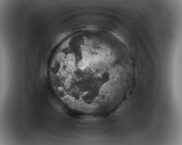 X0000085230347200703301730