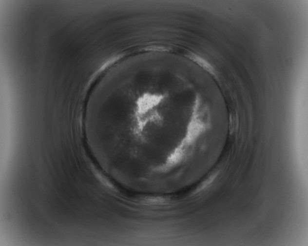 X0000085230349200703301730